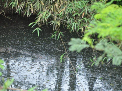 深圳水質(zhì)檢測