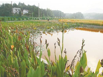 深圳水質(zhì)檢測(cè)